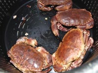 DNA samples for the SUSFISH project were obtained from crabs provided by local fishermen.