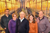 Professor Athole Marshall with oat breeding team members in the BBSRC funded National Plant Phenomics Centre at IBERS.