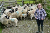 Sarah Beynon IBERS PhD student with Beulah sheep
