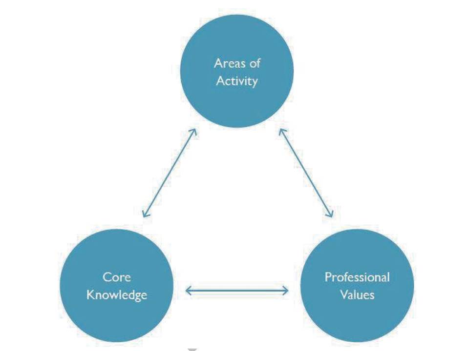 Diagram with arrows linking  Areas of Activity, Professional Values and Core knowledge