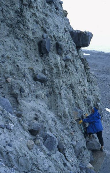 Barrie McKelvey (University of New England, Australia) examining Miocene glacial sediments on Fisher Massif, Prince Charles Mountains. Photo: M. J. Hambrey