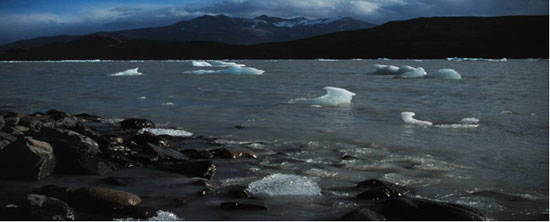 Icebergs in Lago Grey, South Patagonian Icefield. Photo: N. F. Glasser