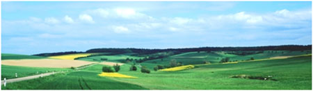 A photograph of an agricultural landscape.
