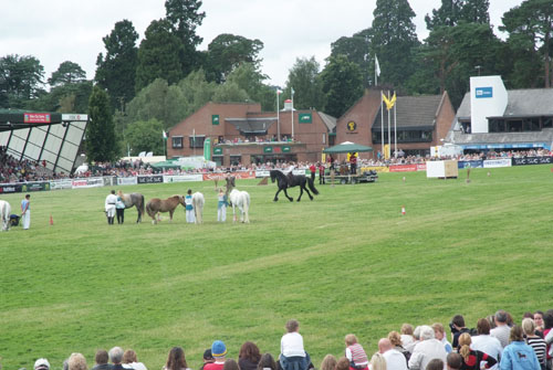 IBERS at the Royal Welsh Show 2009