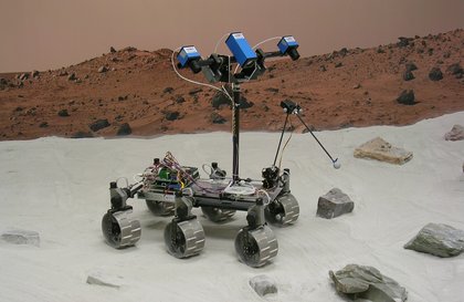 Picture of Rover