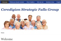 Ceredigion Strategic Falls Group