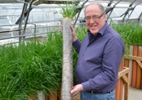 Dr Mike Humphreys and the Fetulolium hybrid