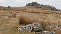 Carn Goedog in Pembrokeshire