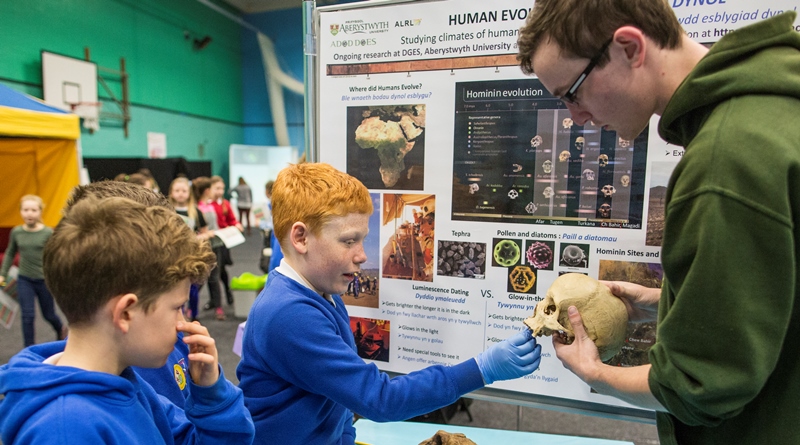 Human evolution is the theme for one of more than 30 exhibitions at the Aberystwyth University British Science Week science fair.