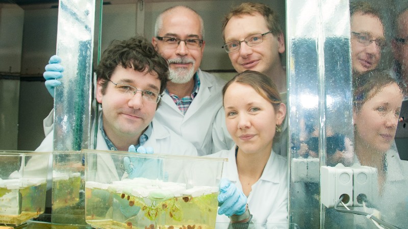 Left to Right: Members of the Barrett Centre for Helminth Control at Aberystwyth University; Dr Iain Chalmers, Professor Karl Hoffmann, Dr Martin Swain and Dr Kathy Geyer