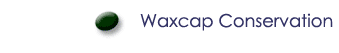 Waxcap Conservation