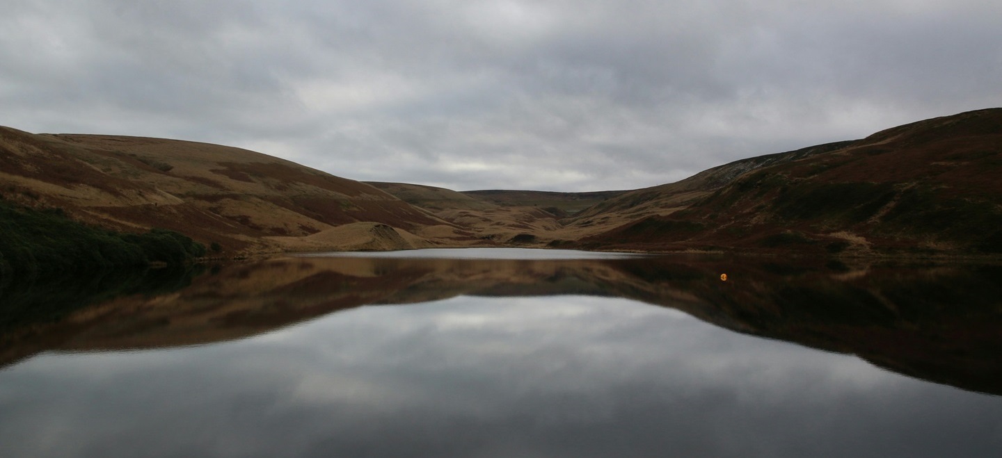 Llun gan michael podger ar Unsplash