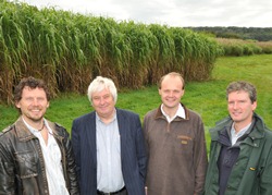 Yn y llun, o’r chwith i’r dde: Dr. Gordon Allison, Dr. John Valentine, Dr. John Clifton-Brown; a Dr. Paul Robson, yn y plotiau  miscanthus.