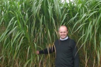 Dr John Clifton-Brown o flaen planhigion Miscanthus