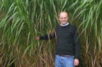 Dr John Clifton-Brown o flaen planhigion Miscanthus