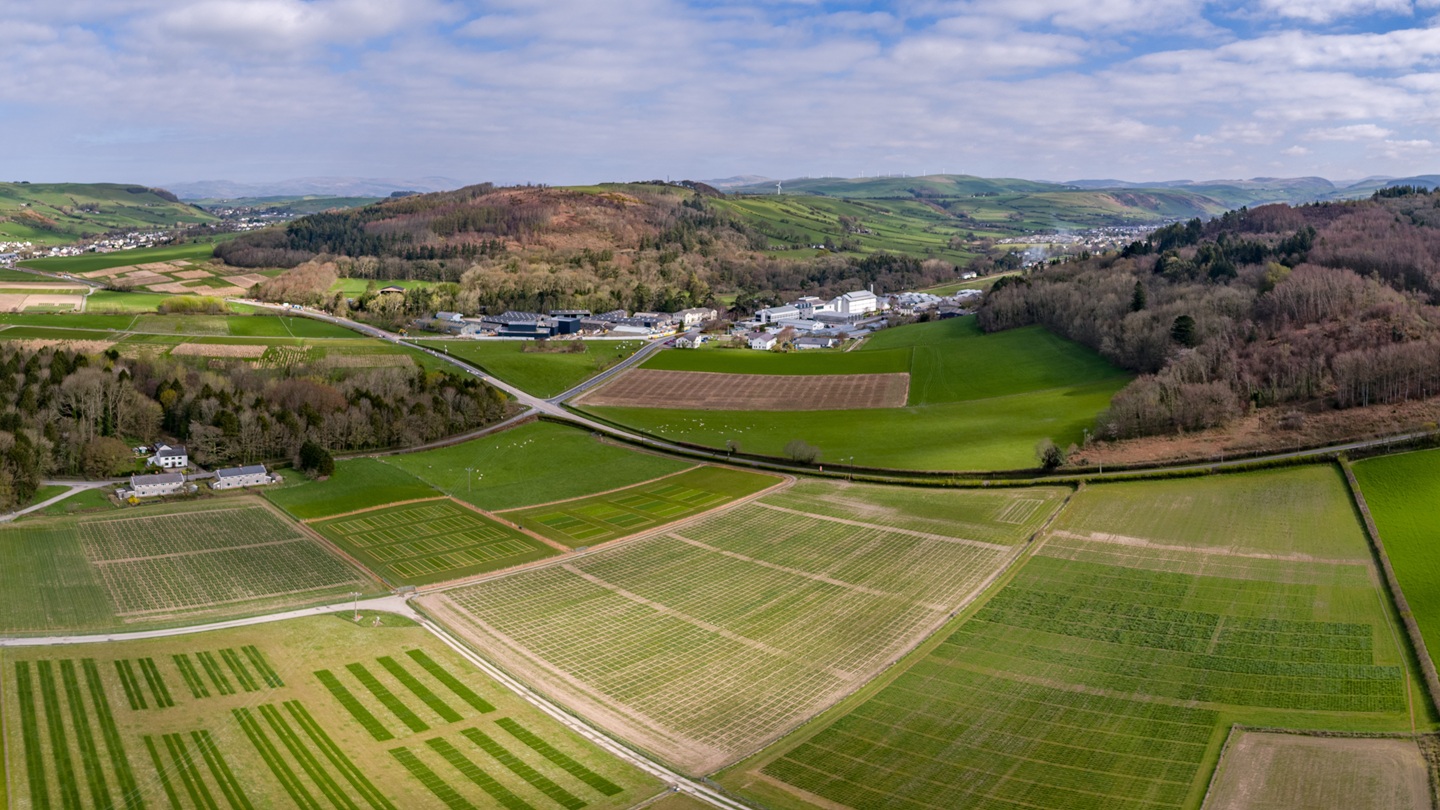 Golygfa o&rsquo;r awyr o leiniau plannu arbrofol yn Athrofa y Gwyddorau Biolegol, Amgylcheddol a Gwledig (IBERS) yng Ngogerddan, Aberystwyth. Llun: Jason Brook.