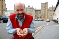 David Oldham a naddio coed yn ei ddwylo. Mae'r Brifysgol yn ystyried naddion coed fel ffynhonnell amgen o ynni.