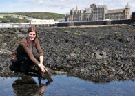 Dr. Jessica Adams yn casglu gwymon oddi ar greigiau’r coleg yn Aberystwyth.