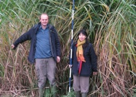 Mae disgwyl i groesiadau Miscanthus tebyg i’r rhai yma sydd yn tyfu yn Aberystwyth chwarae rhan gynyddol bwysig er mwyn darparu ynni adnewyddadwy. Mae Dr John Clifton-Brown (Chwith) a Dr Lin Huang wedi casglu Miscanthus gwyllt yn Ne Korea er mwyn cynyddu cynnyrch bio-màs ac ansawdd er mwyn ei ddefnyddio yn y Deyrnas Gyfunol, yr Undeb Ewropeaidd a’r Unol Daleithiau.