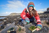 Ally Evans yn gweithio ar Greigiau’r Coleg o flaen yr Hen Goleg, Prifysgol Aberystwyth