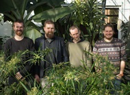 Tîm ‘University Challenge’ Botanegol IBERS (chwith i’r dde): Rob Bellow, 3ydd flwyddyn Bioleg Planhigion; Sam Thomas, Myfyriwr PhD; Henry Dewhirst, blwyddyn cyntaf Bioleg Planhigion; Jacques Turner-Moss, 3ydd flwyddyn Cadwraeth.