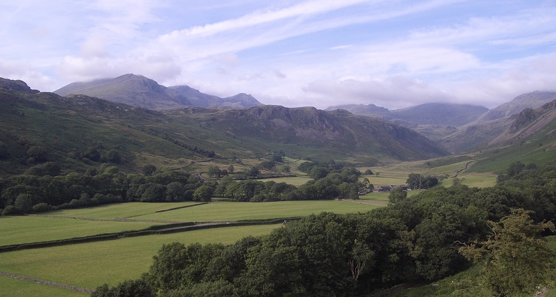 Delfryd cefngwlad?  Er bod ardaloedd gwledig yn nodi gwell canlyniadau iechyd nag ardaloedd trefol, gyda disgwyliad oes uwch a chyfraddau is o farwolaethau cynamserol, mae yna heriau ac amgylchiadau sy'n effeithio'n anghymesur ar boblogaethau gwledig, sydd âg effaith negyddol ar iechyd a llês y trigolion.