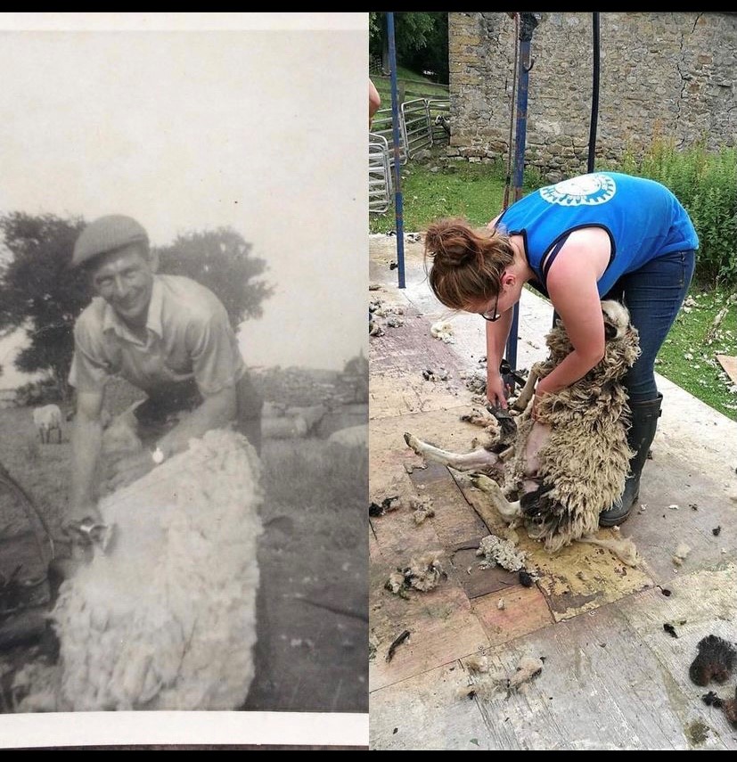 Hen dad-cu Bethany Harper, Ray, pan oedd yn weithiwr fferm ym 1963 ac ar y dde Bethany ei hun yn gweithio yn 2017