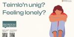 Teimlo'n unig?
