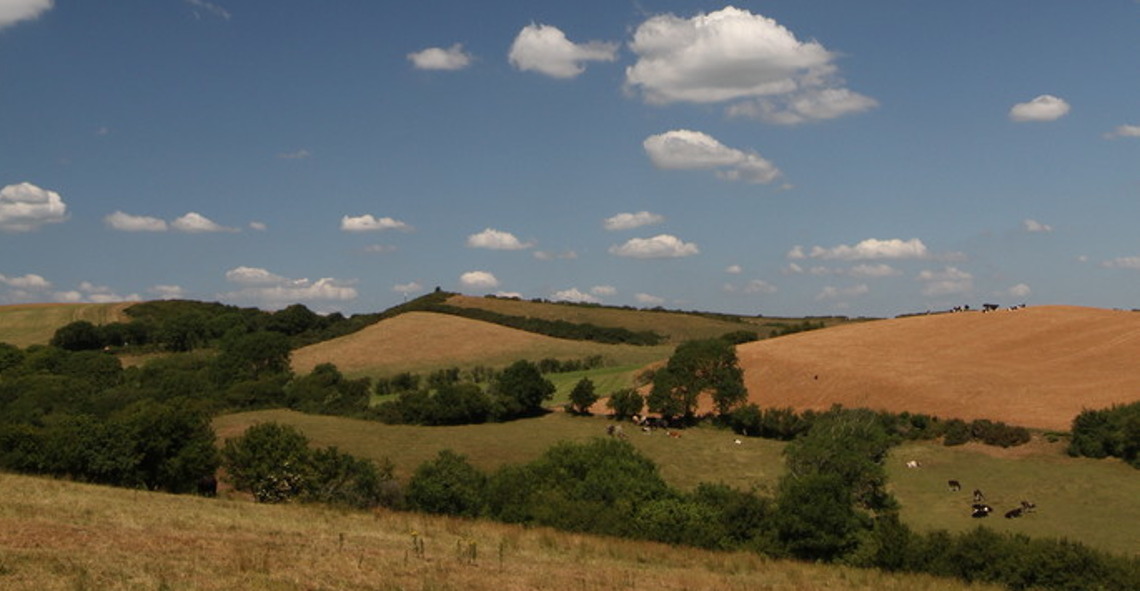 local countryside