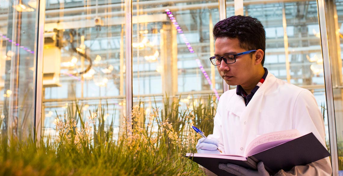 Research and inspection of plants grown under controlled lab conditions.