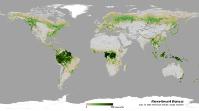  The distribution and density of above-ground biomass in 2022 (credit: ESA/Planetary Visions).