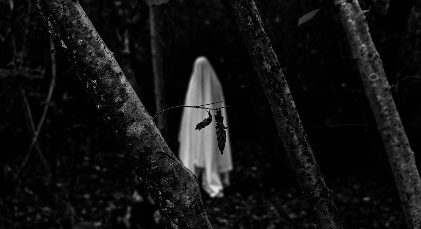 Photo by Nik on Unsplash