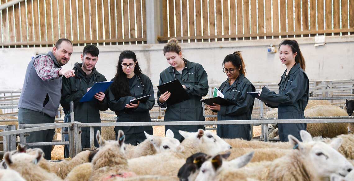 Farmer discussing innovation with students