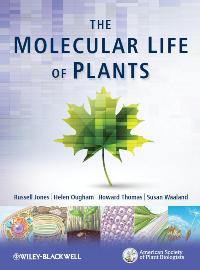 The cover of The Molecular Life of Plants