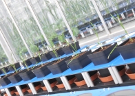 The Phenomics Centre