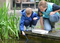 Pond dipping during the Bioblitz.