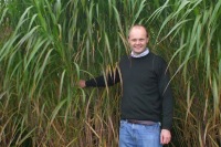 Dr John Clifton-Brown standing next to some Miscanthus plants (Asian elephant grass)