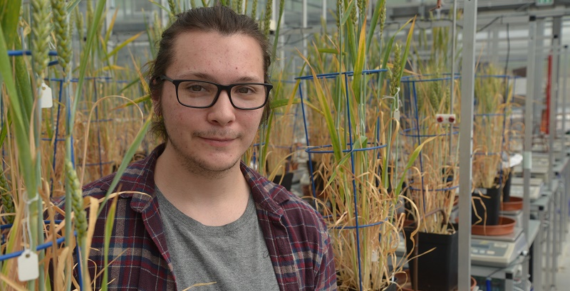 Nathan Hughes at the National Plant Phenomics Centre