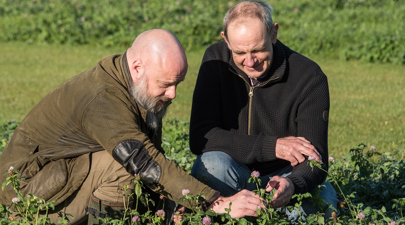 IBERS scientists Dr Leif Skøt (right) and Dr David Lloyd, studying red clover, one of the protein sources to be studied as part of the European and Chinese legumes EU funded project EUCLEG. Not pictured are the other team members, Dr Rosemary Collins and Mr Huw Powell.