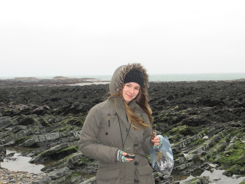 Sasha Bannister collecting Shark egg cases on Aberystwyth Beach.