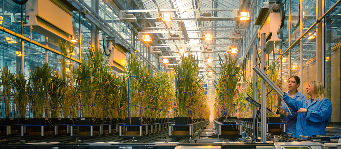 Aberystwyth University’s Institute of Biological, Environmental and Rural Sciences