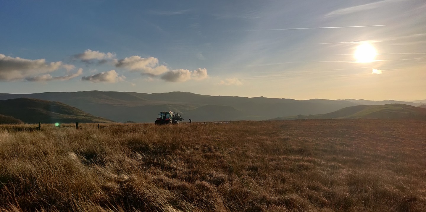 Peatland research site, Aberystwyth University
