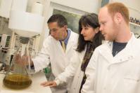 Robert Nash and team at work in the laboratory