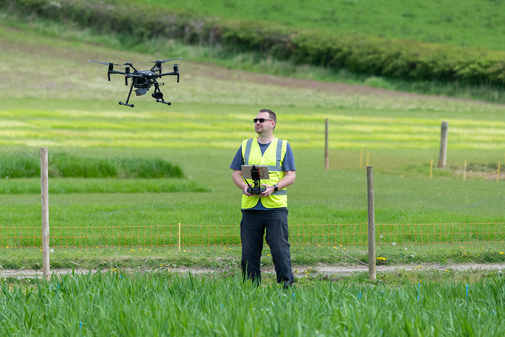 Jason Brook is a member of the technical team at IBERS and is seen here operating a drone above a field trial being grown on the University’s land at Gogerddan near Aberystwyth.