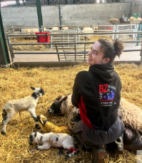 Holly Zielder during lambing