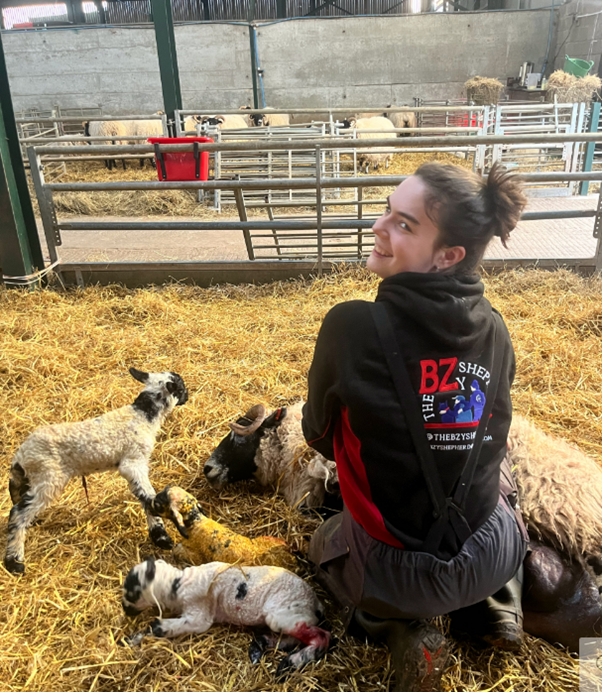 Holly Zielder during lambing