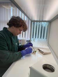 Japser Barnes at work in the lab