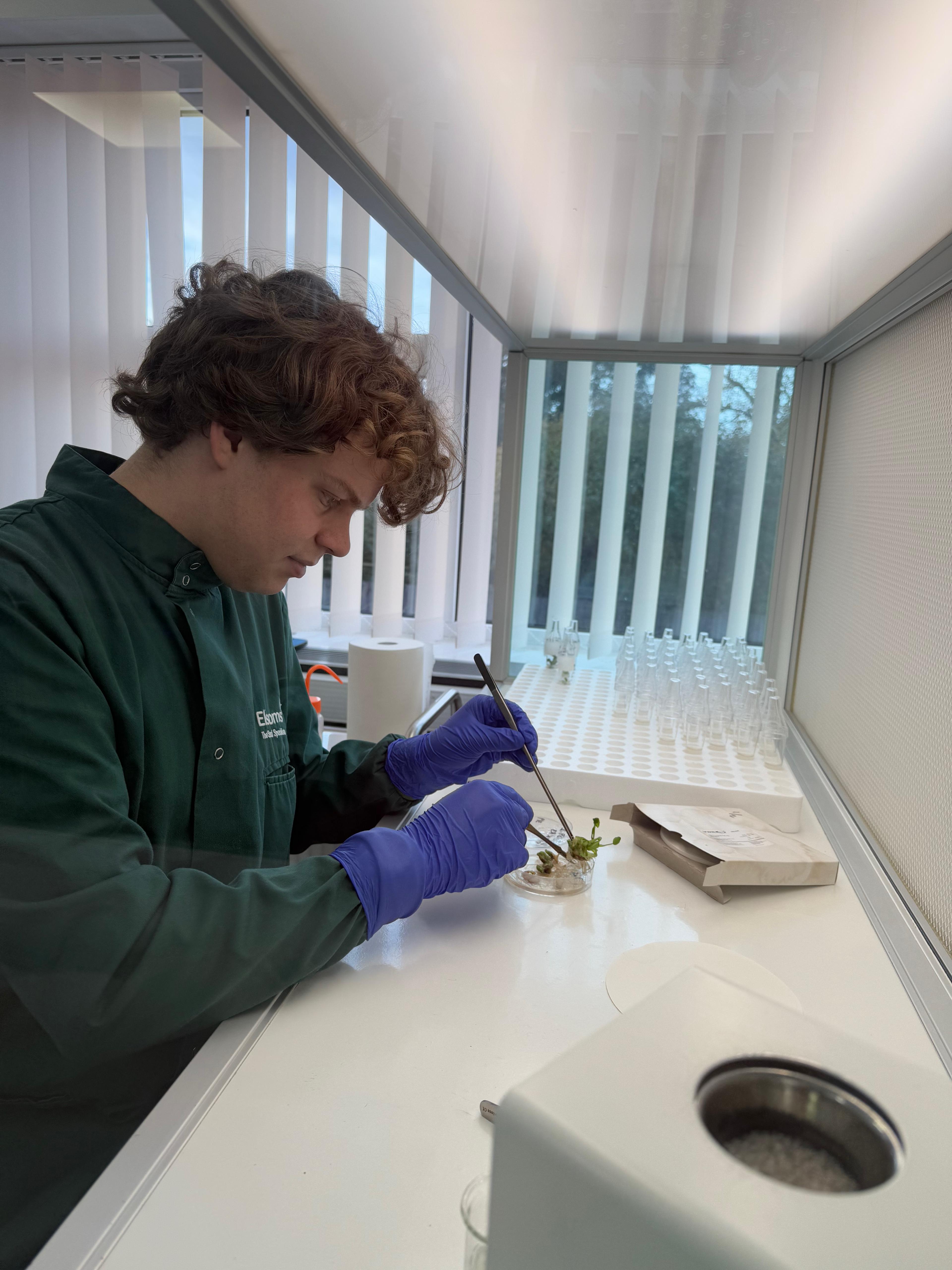 Japser Barnes at work in the lab