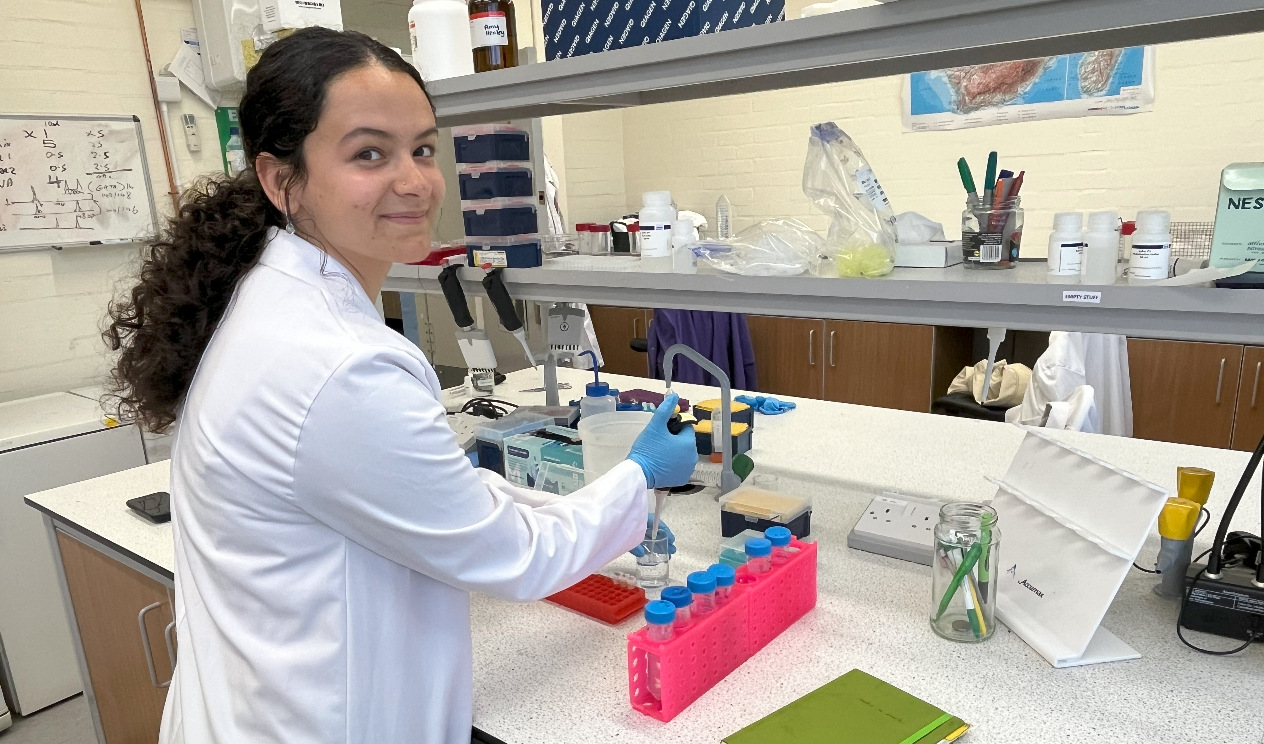 Postgraduate student, Nadine Johnson, preparing pine marten DNA for molecular analysis in the laboratory at Aberystwyth University