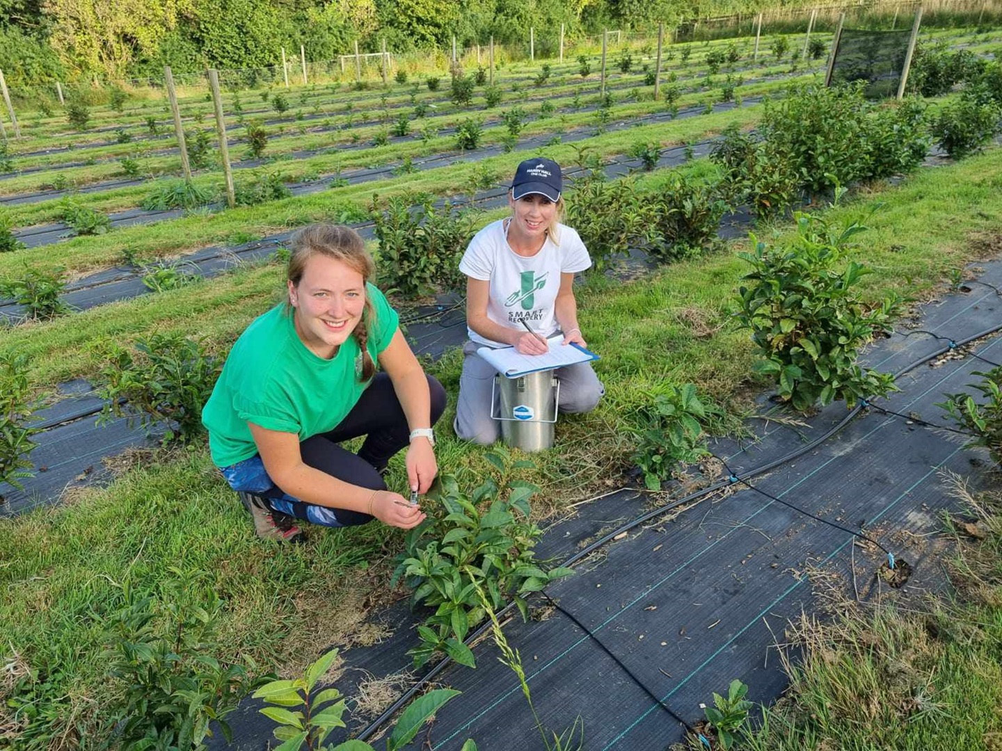 Dr Amanda J Lloyd and Dr Ali Warren-Walker gathering samples at Dartmoor Estate Tea in Deveon.